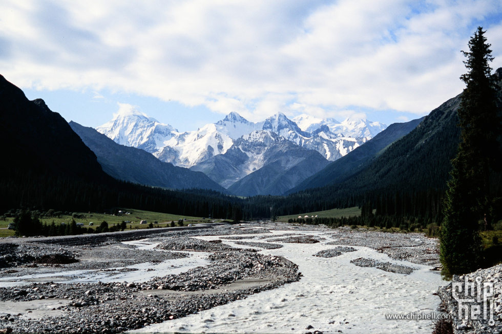 DSC_608217.jpg