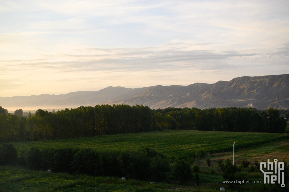 DSC_720805.jpg