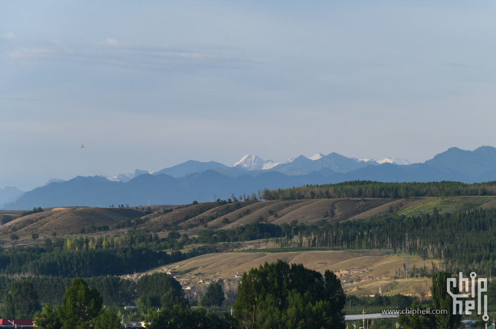 DSC_722306.jpg