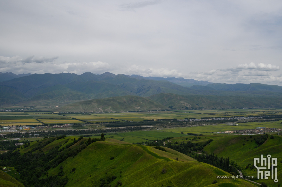 DSC_726908.jpg