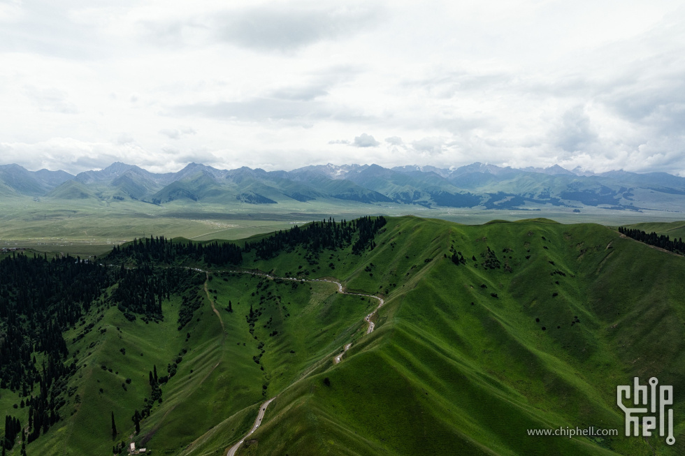 DJI_20250711152622_0257_D01.jpg