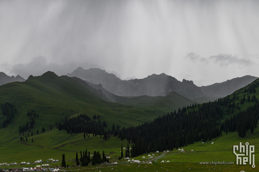 DSC_740318.jpg
