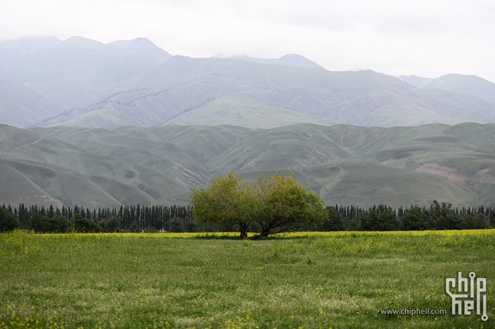 DSC_744723.jpg