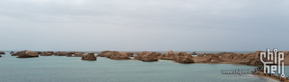 20250723-L1000484.jpg