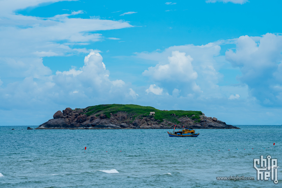 DSC_4854-已增强-降噪.jpg