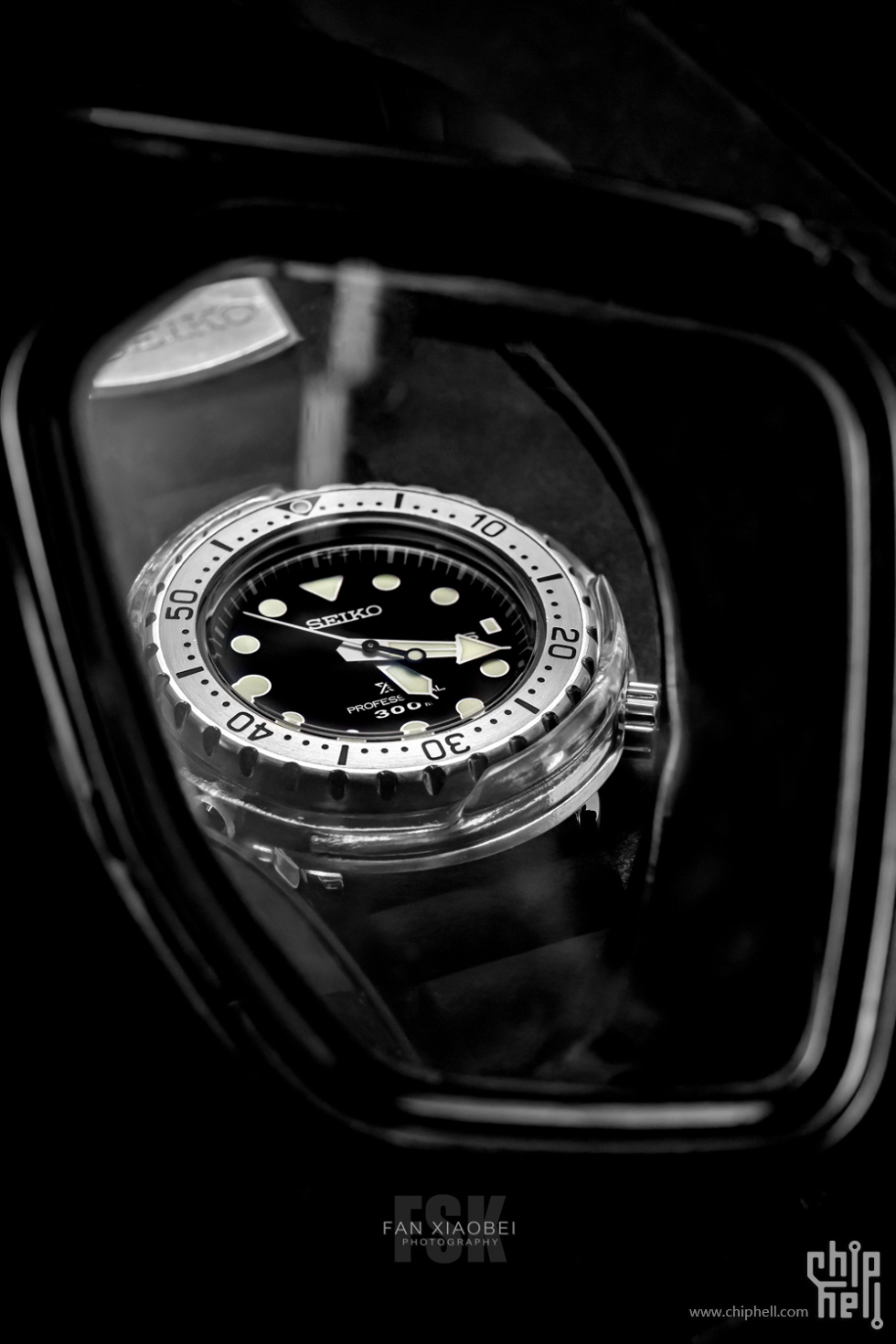 IMG_0413v.jpg