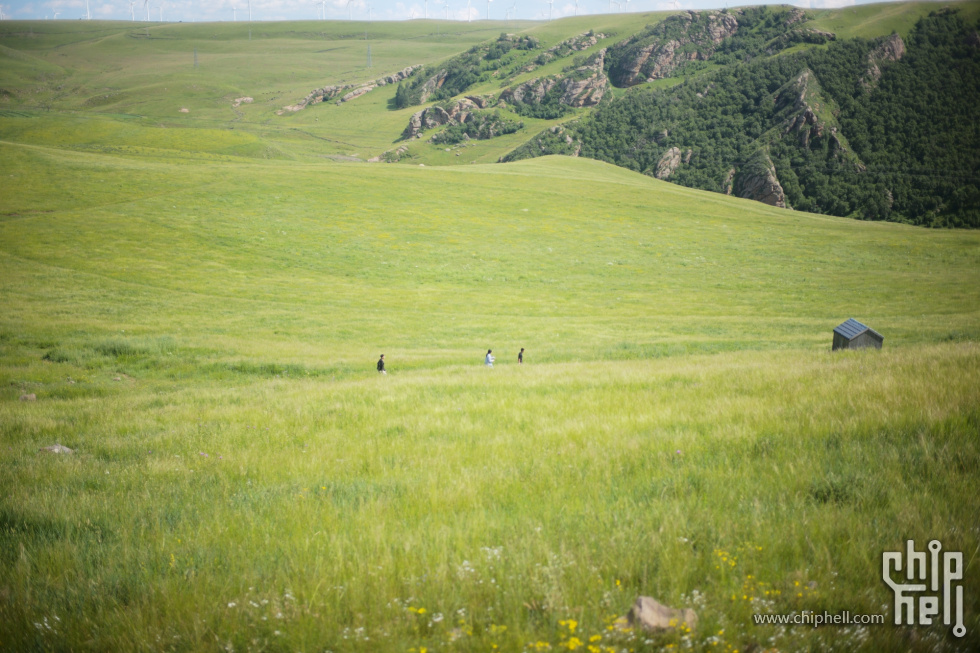 L1004285_chh.jpg