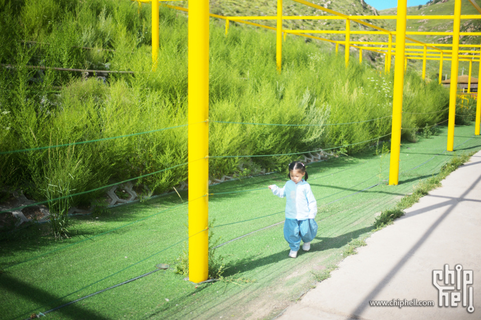 L1004318_chh.jpg