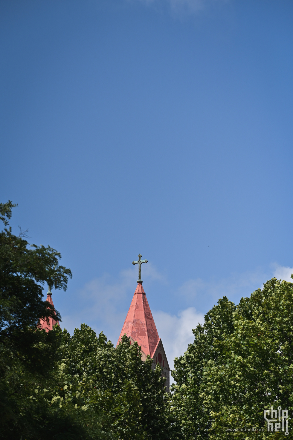 DSC_8364.jpg