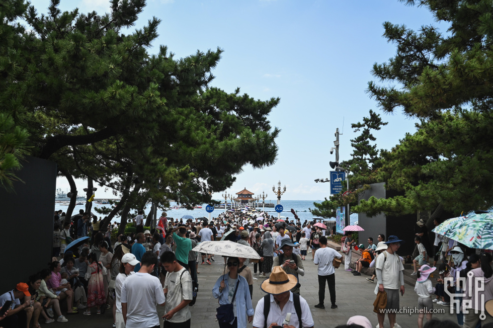 DSC_8551.jpg
