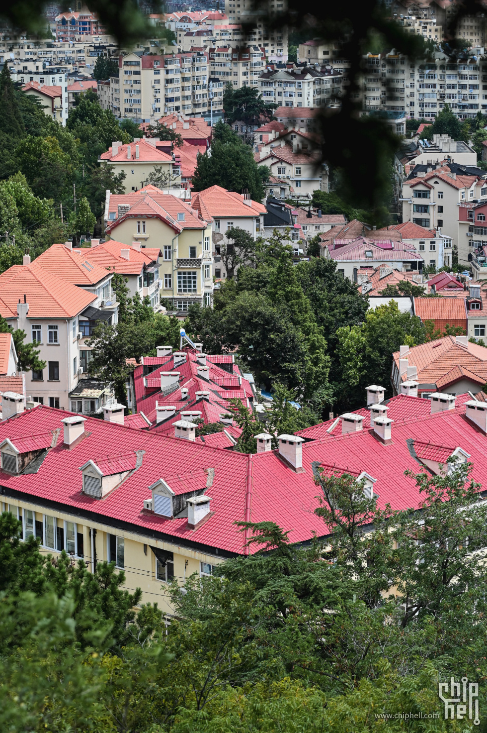 DSC_8605.jpg