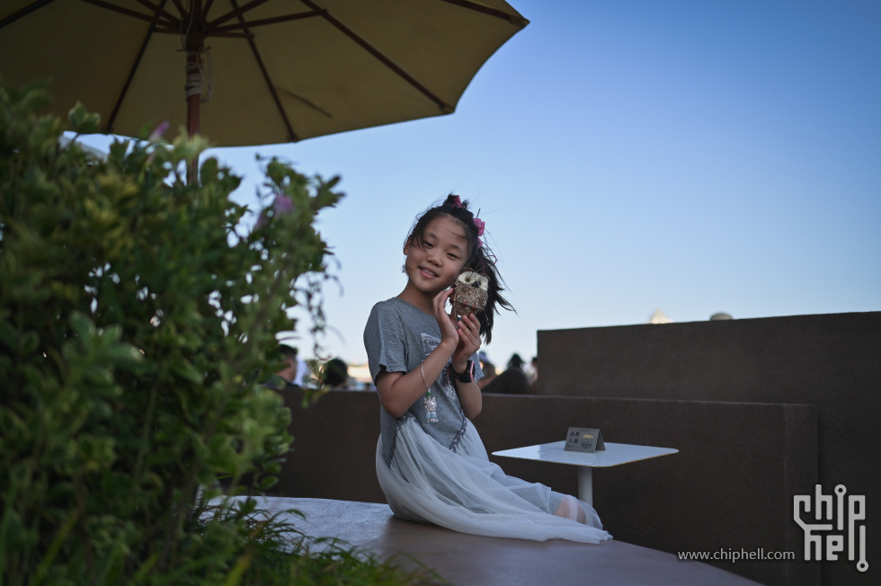 DSC_8812.jpg