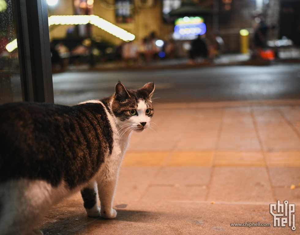 DSC_8843.jpg