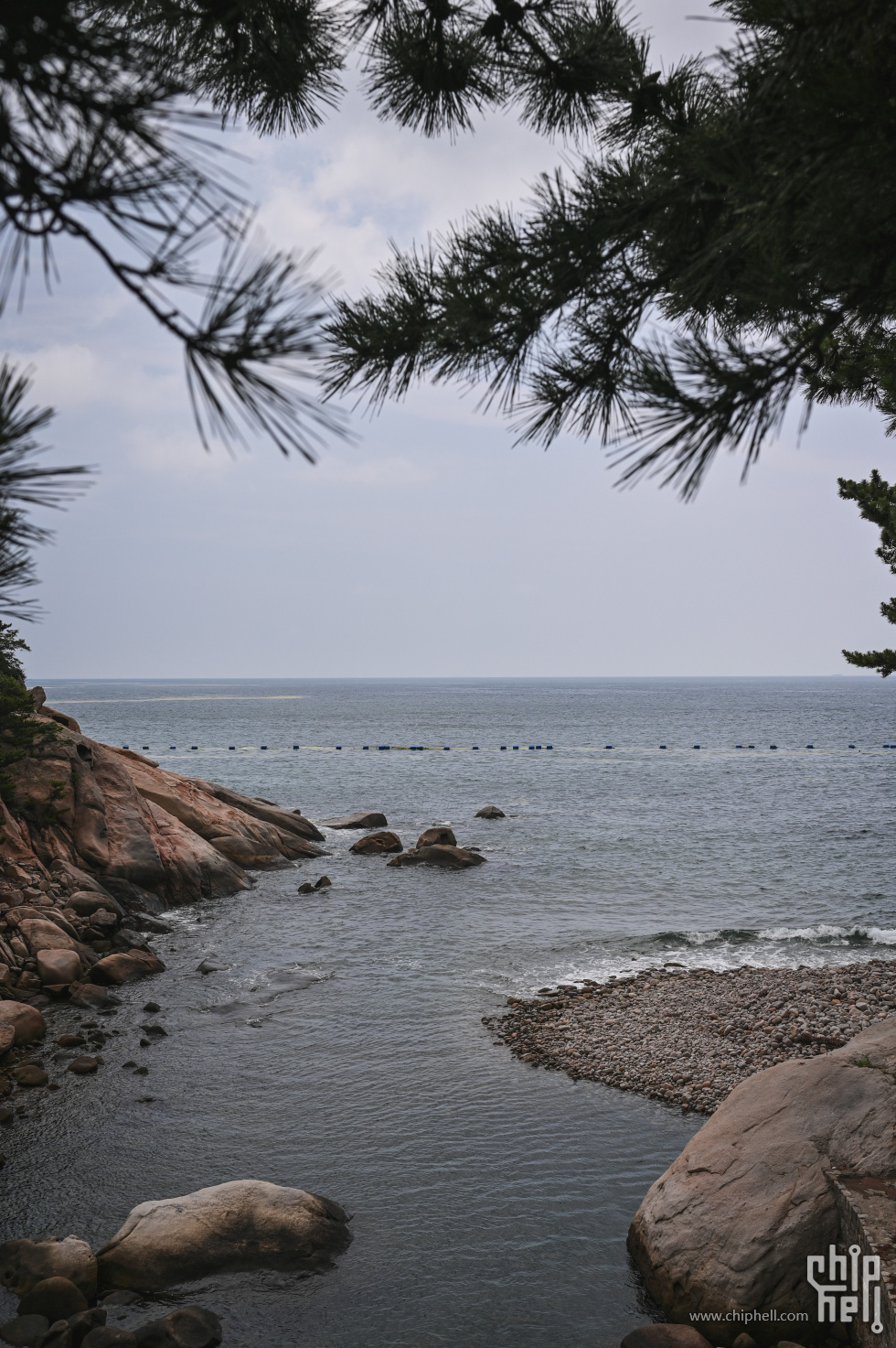 DSC_8865.jpg