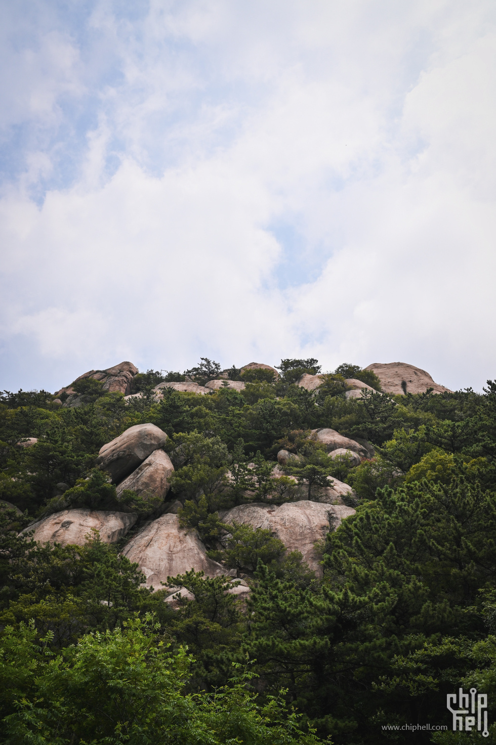 DSC_8868.jpg