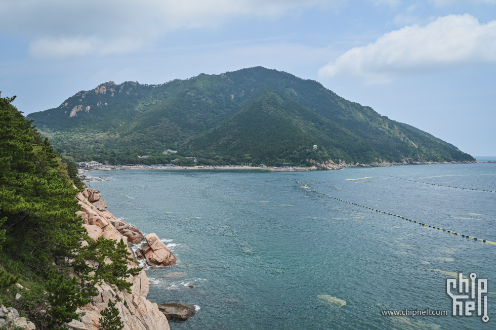 DSC_8878.jpg