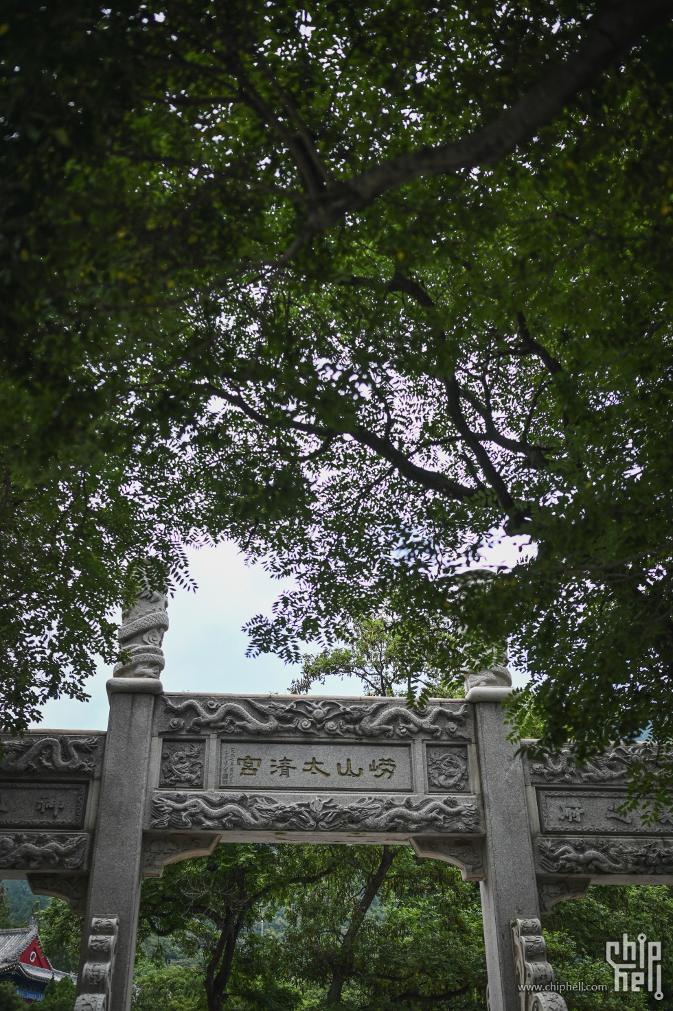 DSC_8941.jpg