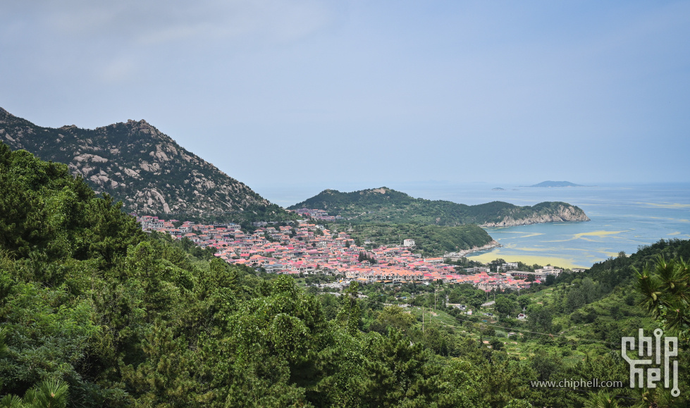 DSC_8942.jpg