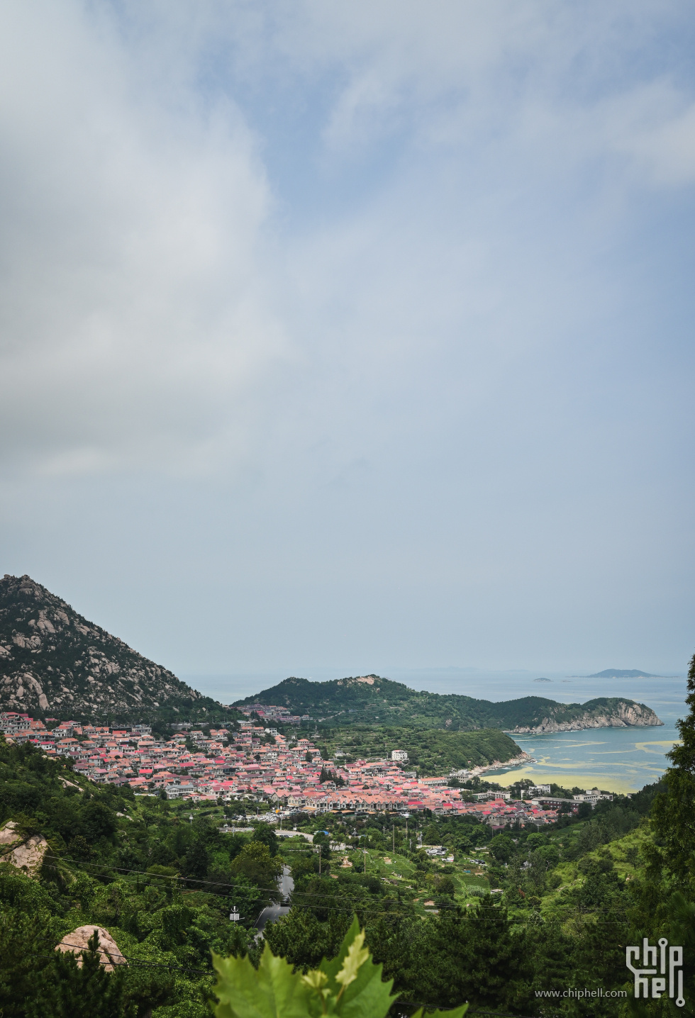 DSC_8946.jpg