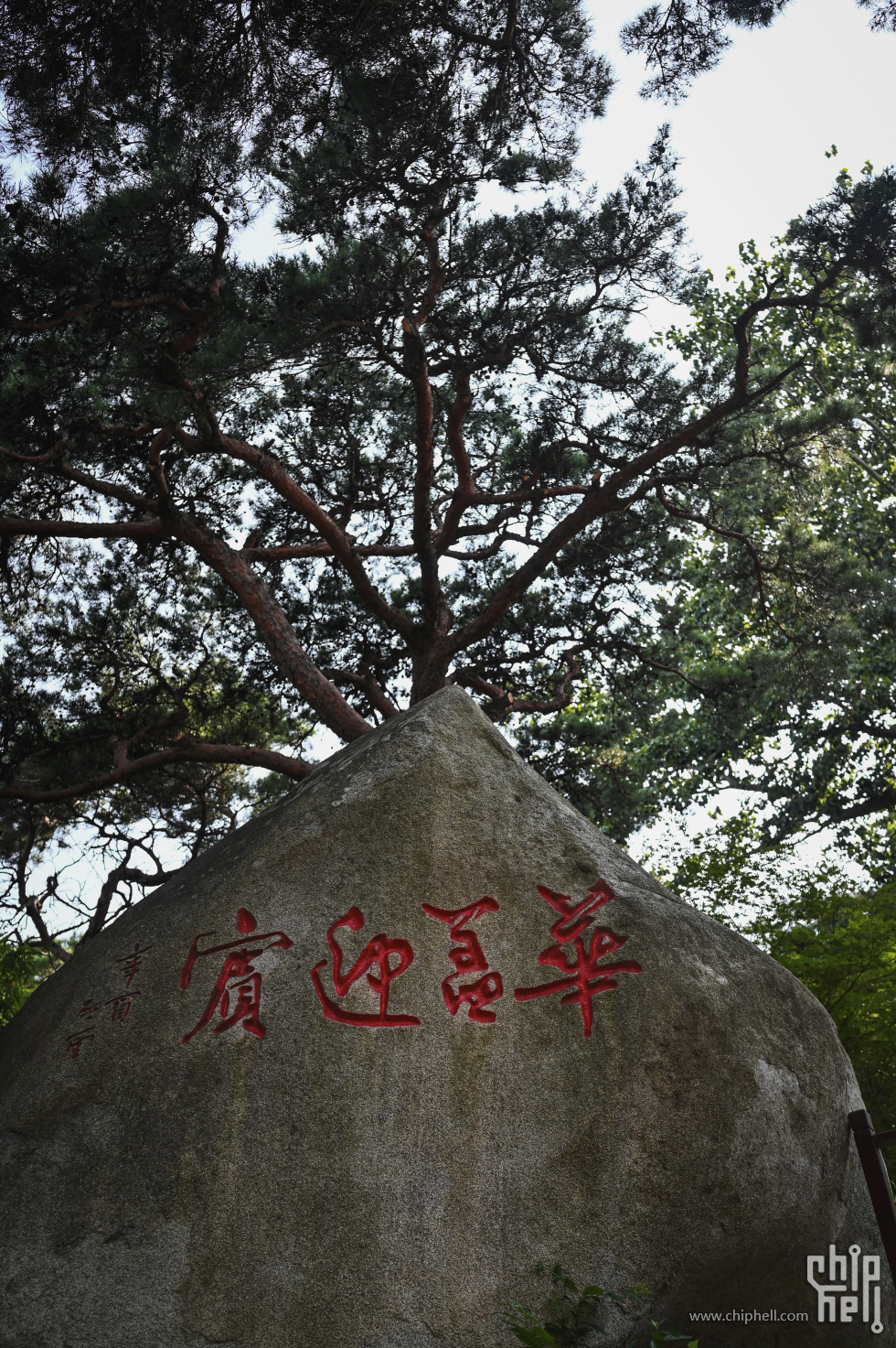 DSC_8967.jpg