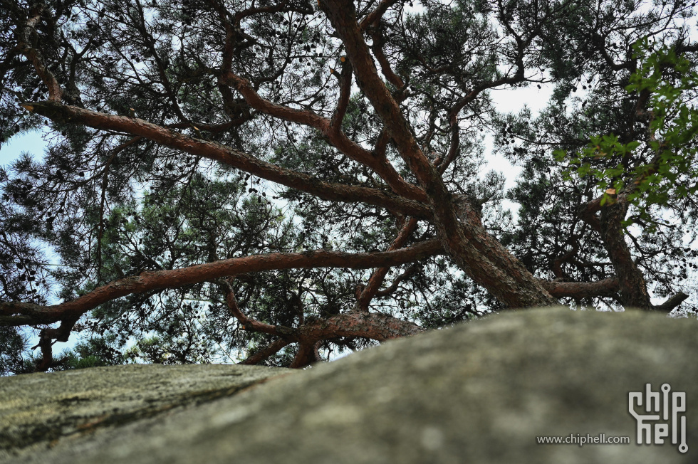 DSC_8968.jpg