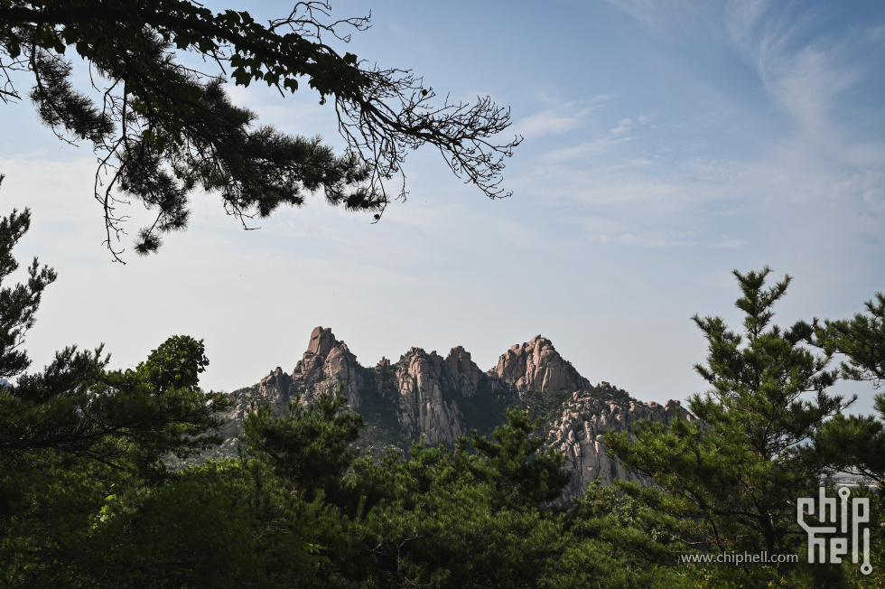 DSC_9024.jpg