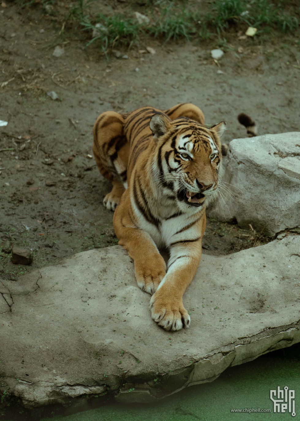 _DSC8136.jpg