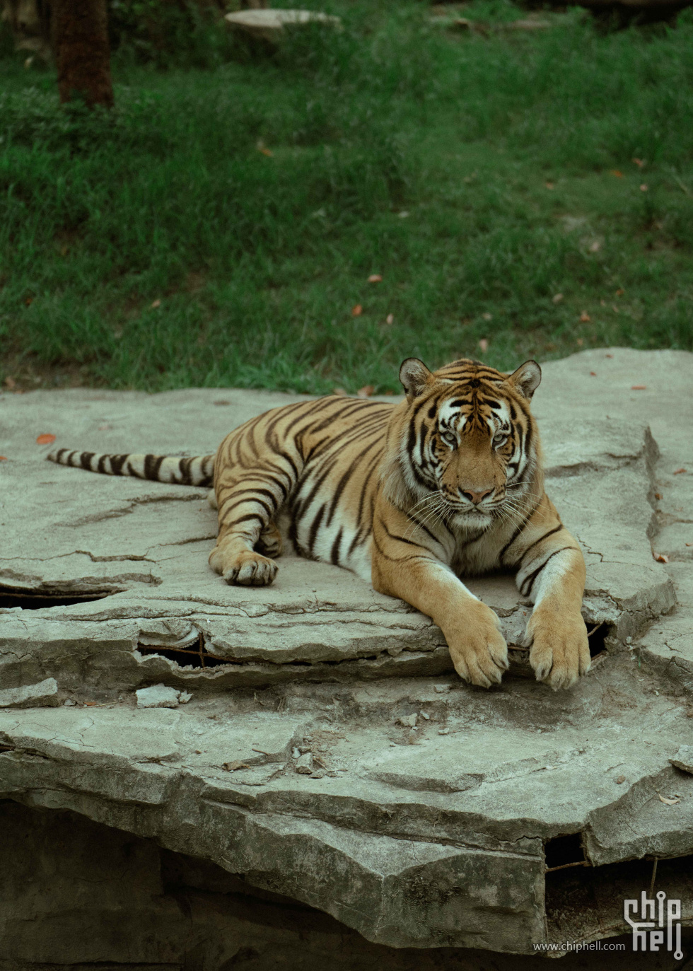 _DSC8139.jpg