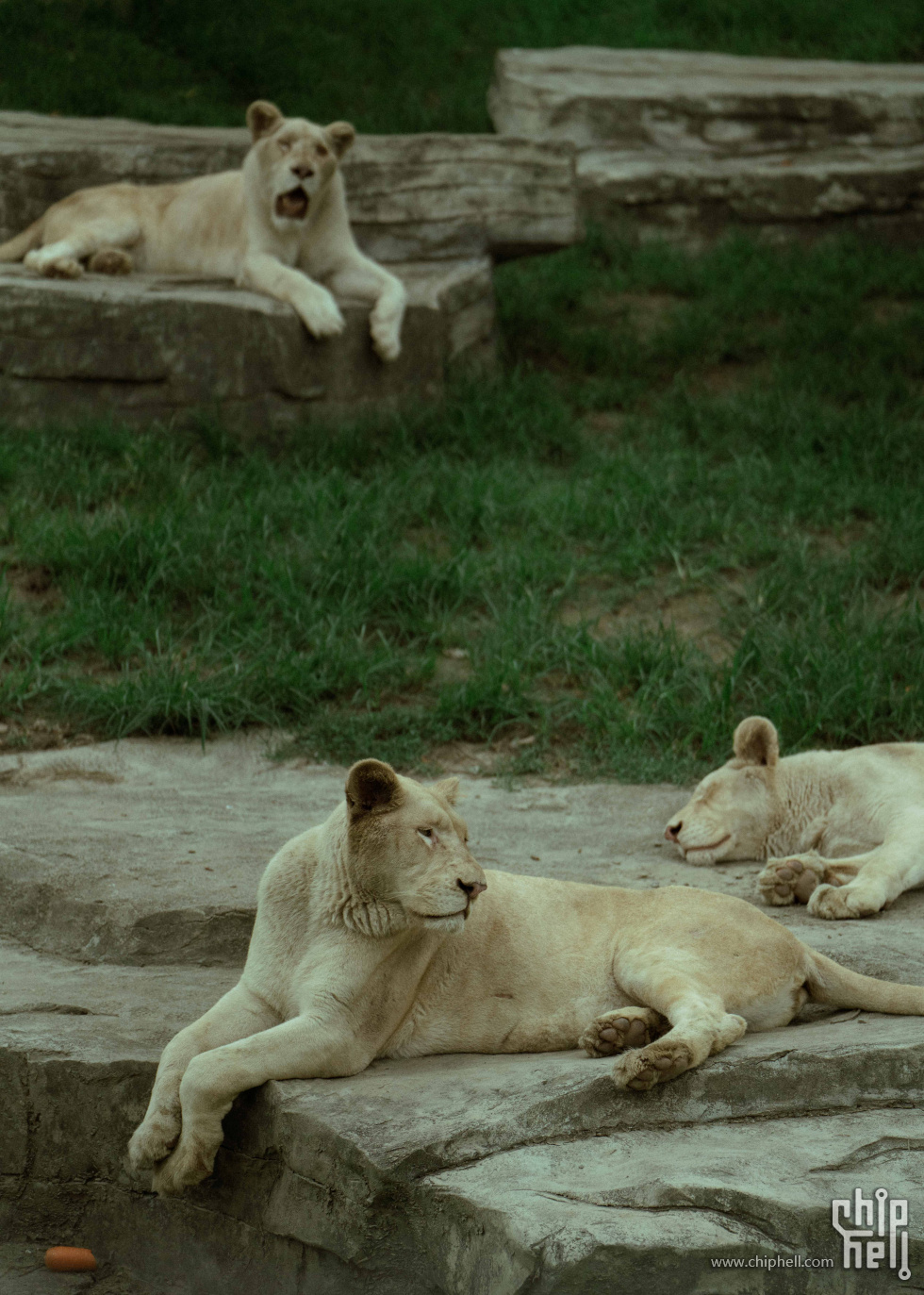 _DSC8174.jpg