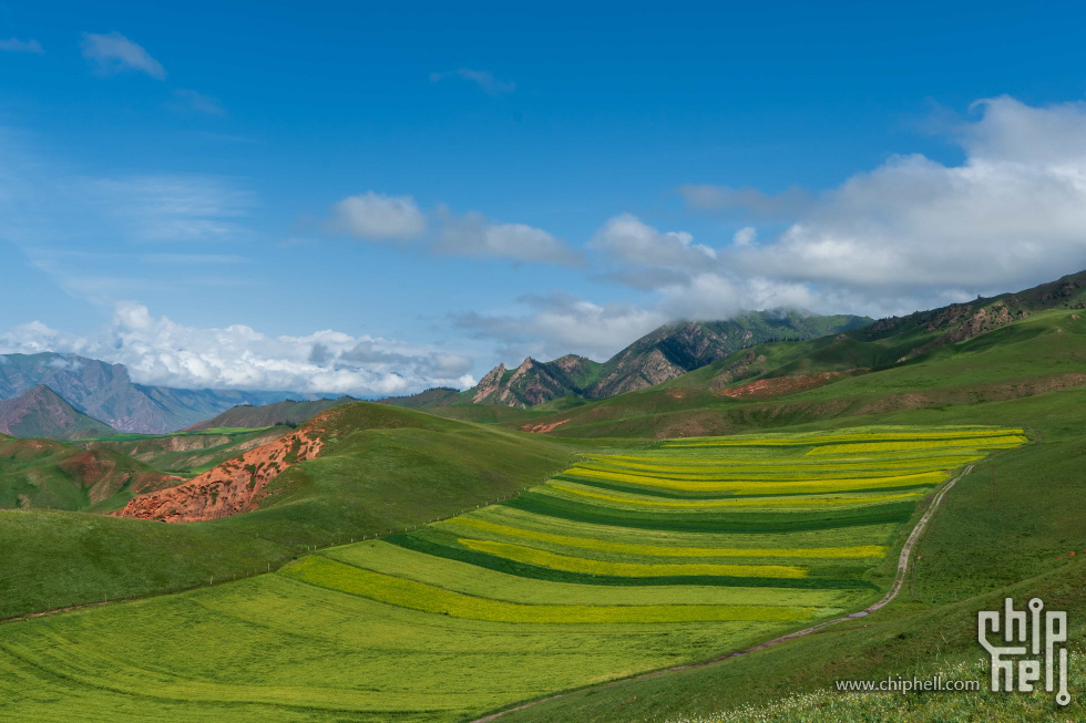 祁连山后山2.jpg