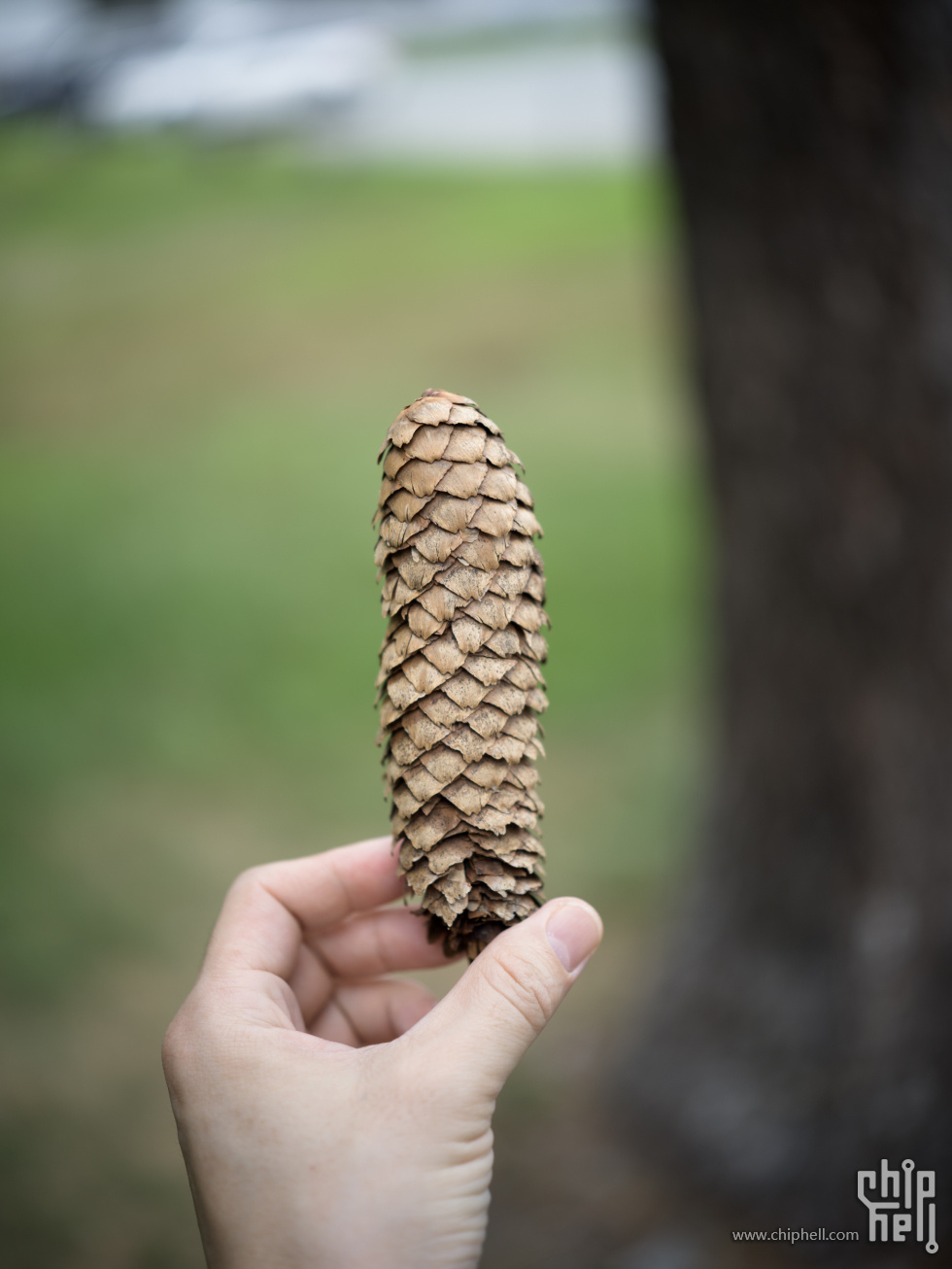 B0004255.jpg