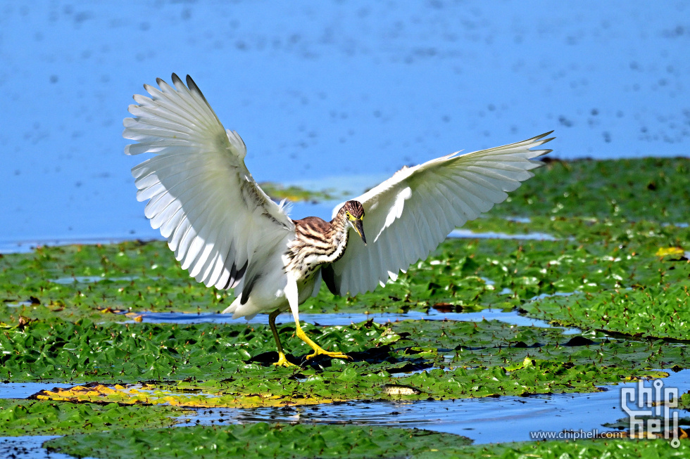 DSC_4848_副本_副本.jpg