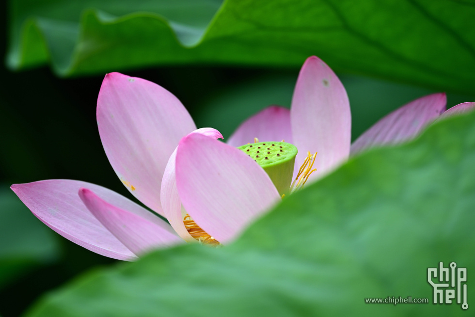 DSC_1689_副本_副本.jpg
