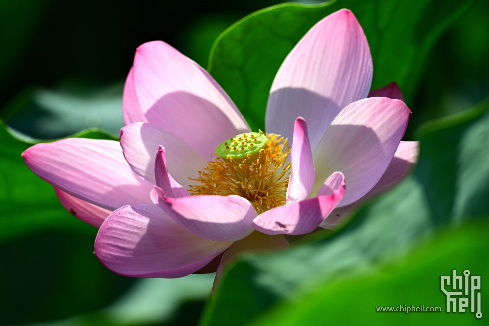 DSC_3651_副本_副本.jpg