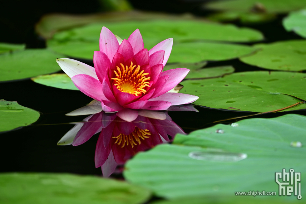 DSC_4020_副本_副本.jpg