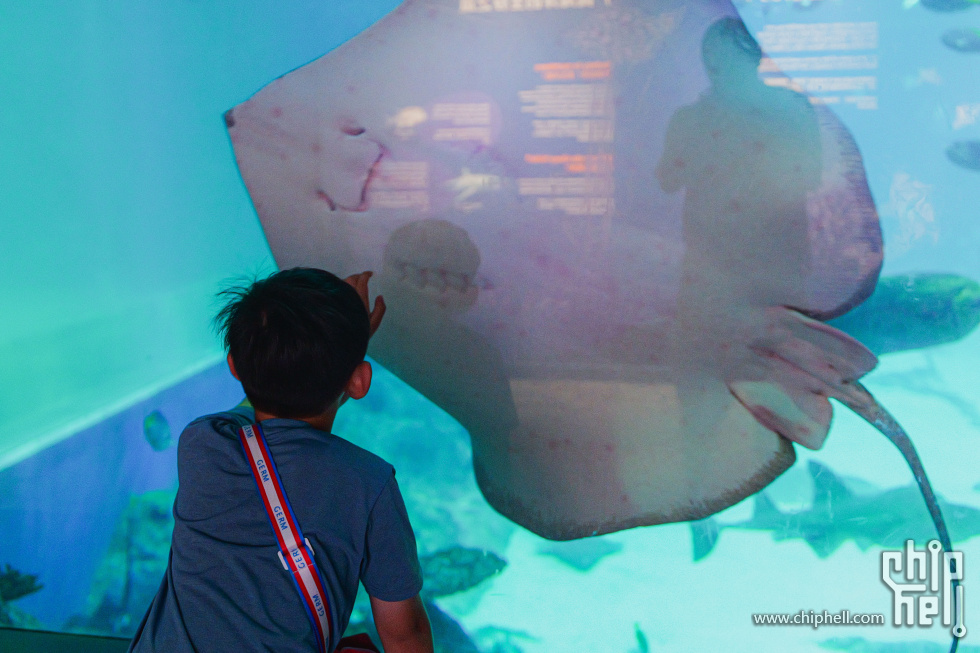 P2028776.jpg