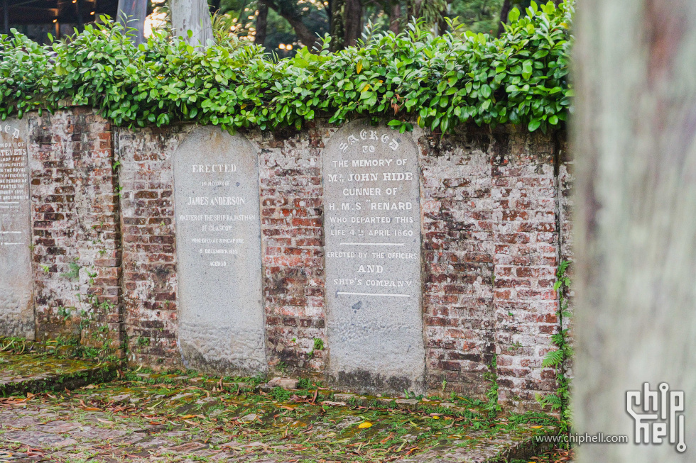 P2028267.jpg
