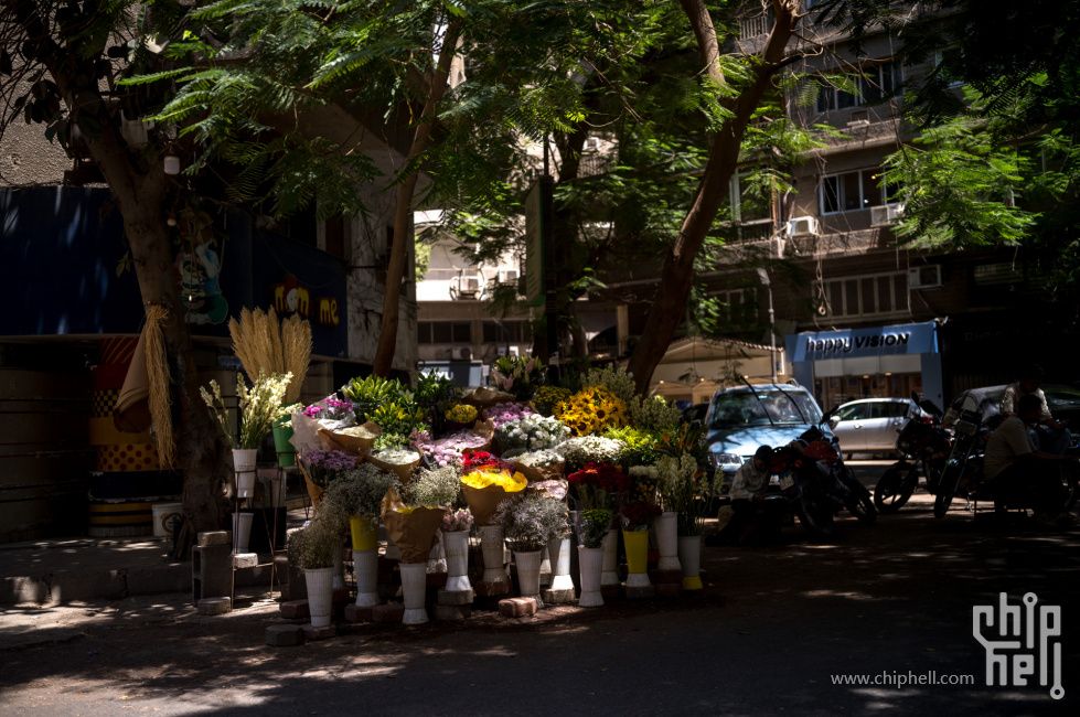 L1000039-2.jpg