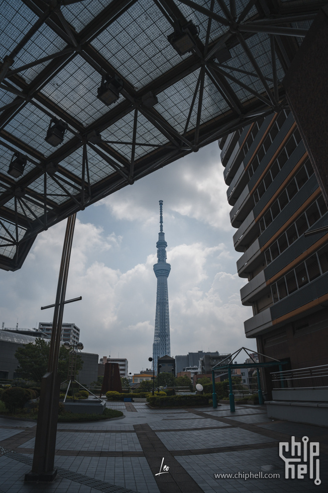 DSC04763.jpg