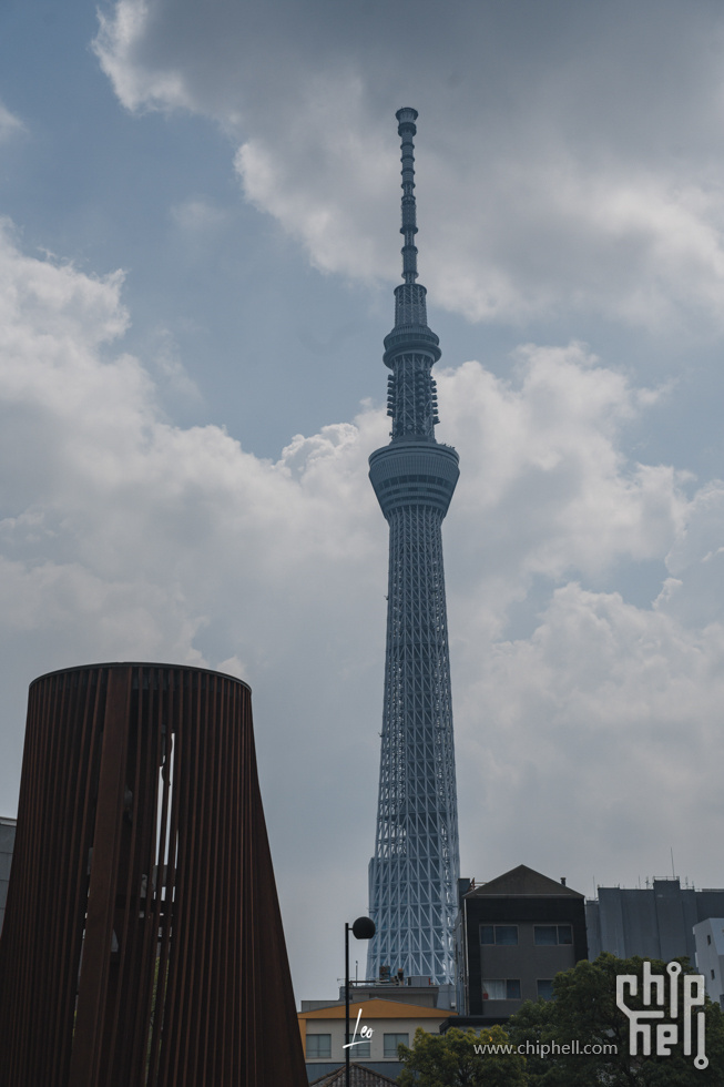 DSC04769.jpg
