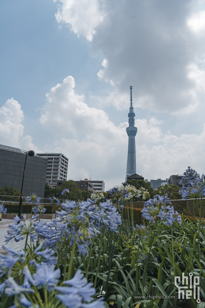DSC04772.jpg