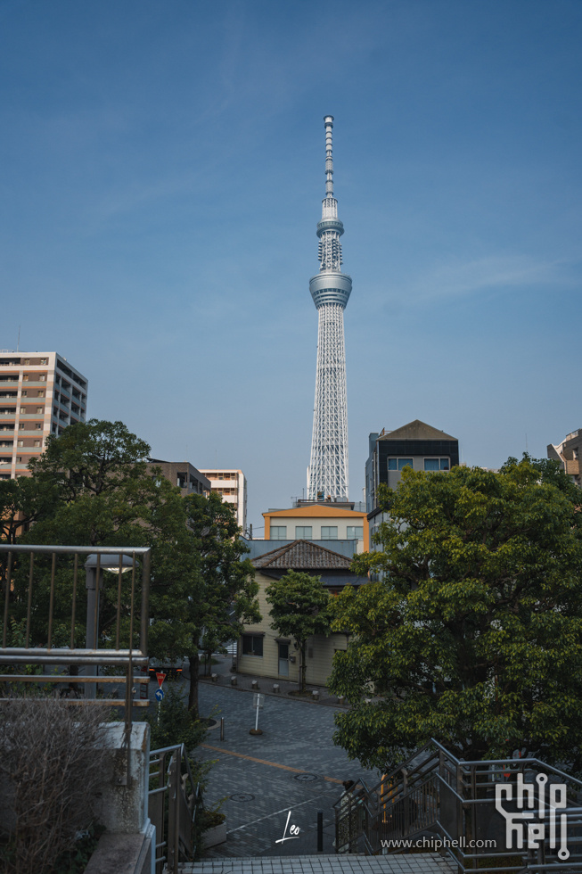 DSC05128.jpg