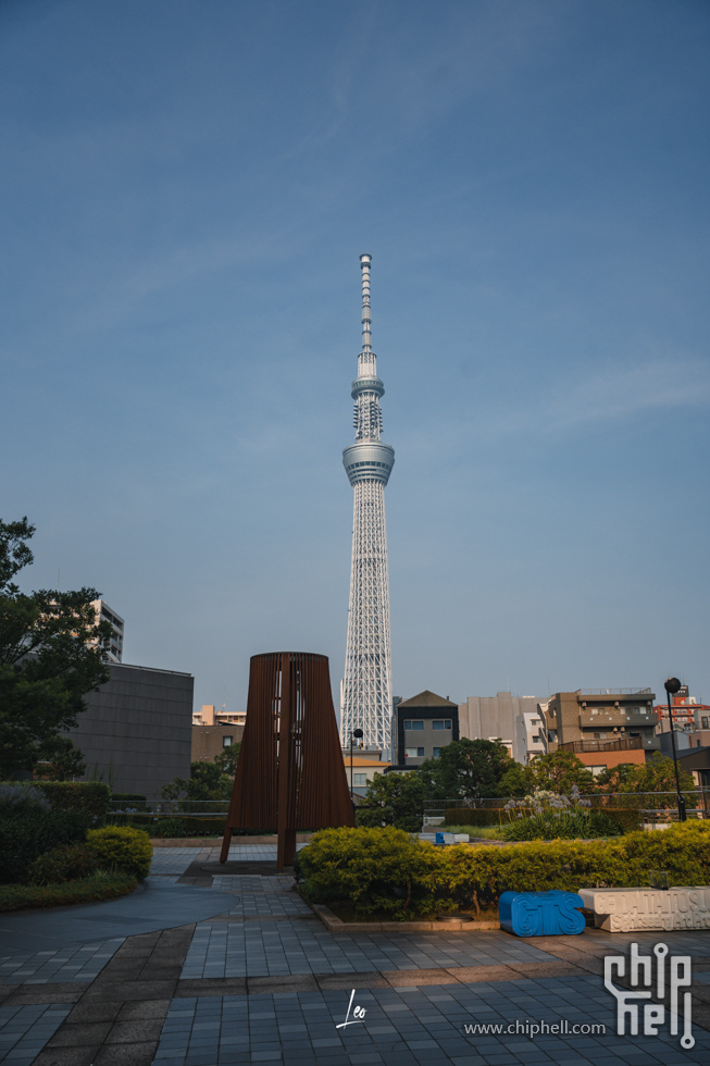 DSC05130.jpg