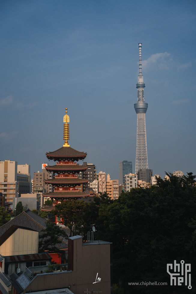 DSC05175.jpg
