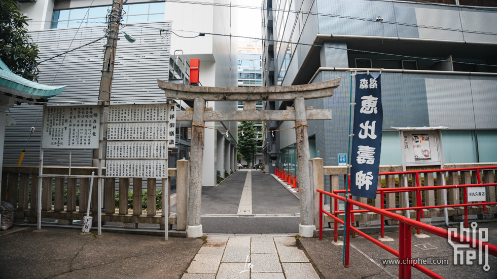 DSC06566.jpg