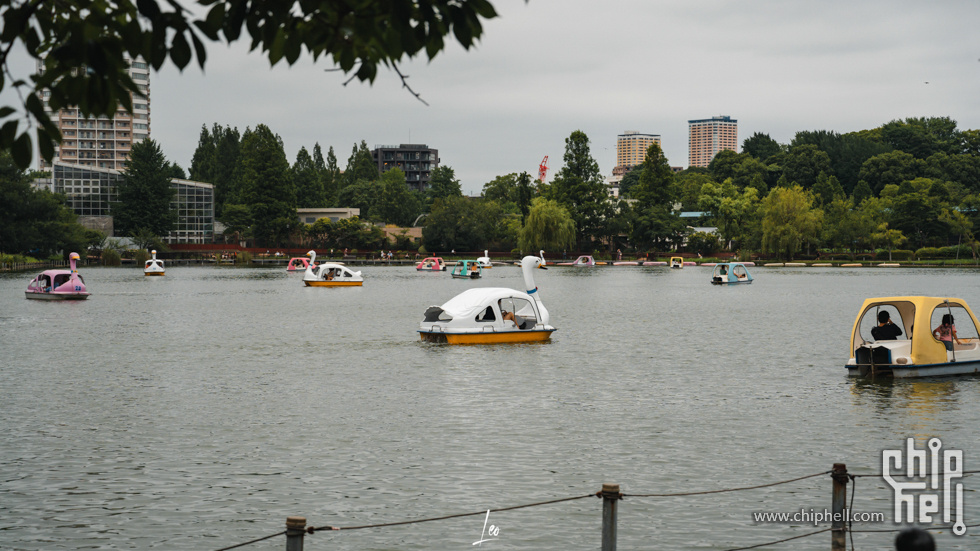 DSC06772.jpg