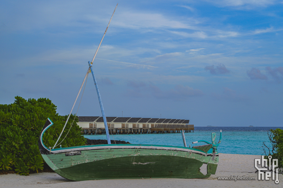 P2061763.jpg