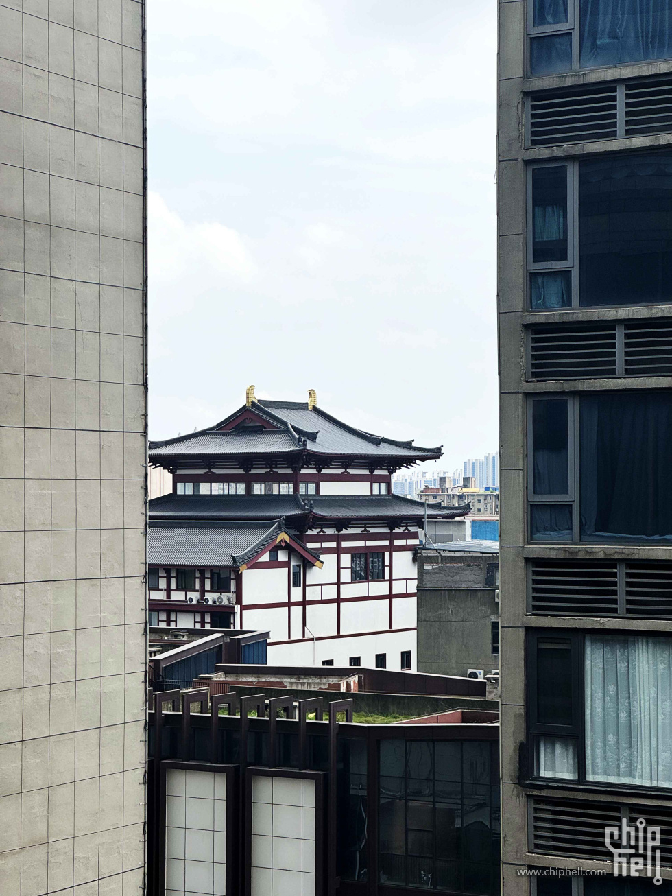 溜达7.jpg