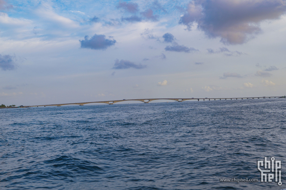 P2072492.jpg