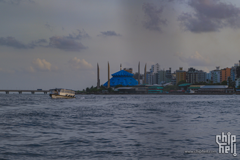 P2072498.jpg